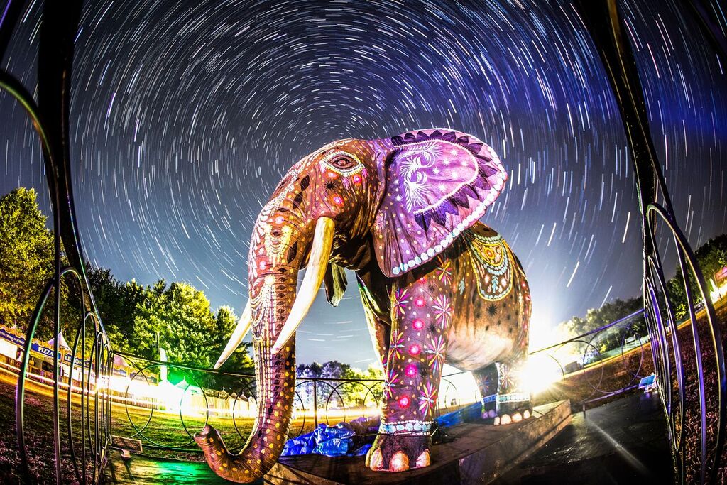#electric forest on Tumblr